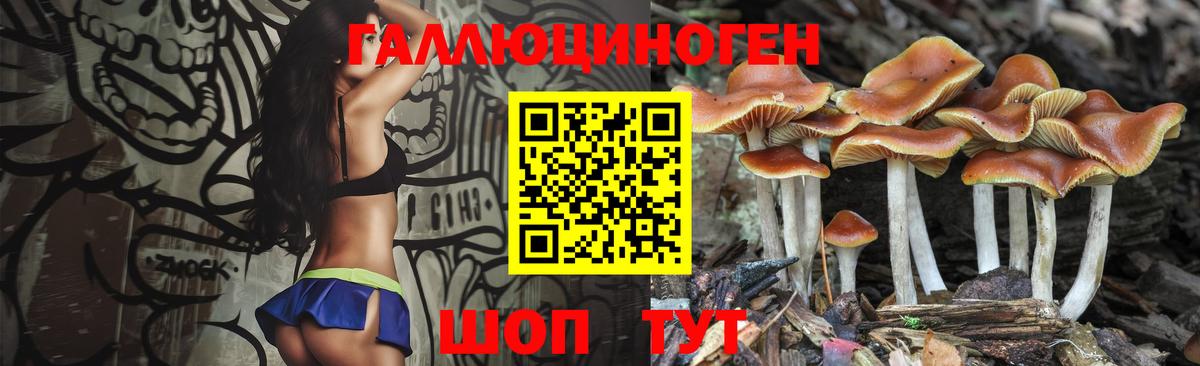 Галлюциногенные грибы Cubensis Вязьма